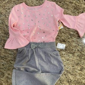 NWT, No Smoking, No Pets- Garanimals Pink TOP-5T and Silver/grey BOTTOM-4T